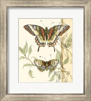 Tandem Butterflies II Fine Art Print