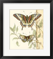 Tandem Butterflies II Framed Print