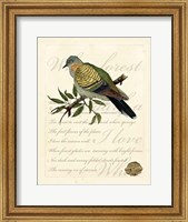 Romantic Dove I Fine Art Print