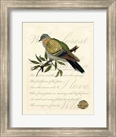 Romantic Dove I Fine Art Print