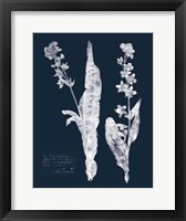 Impressions on Indigo IV Fine Art Print