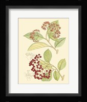 Berries & Blossoms II Fine Art Print