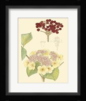 Berries & Blossoms V Fine Art Print