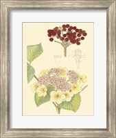 Berries & Blossoms V Fine Art Print