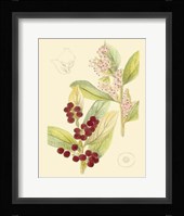 Berries & Blossoms VI Fine Art Print
