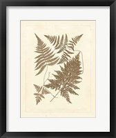 Sepia Ferns VI Fine Art Print