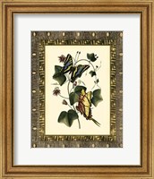 Leather Framed Butterflies II Fine Art Print