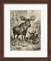 Vintage Moose or Elk Fine Art Print