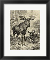 Vintage Moose or Elk Fine Art Print