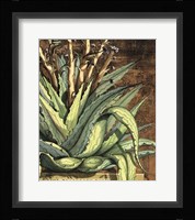 Graphic Aloe I Fine Art Print