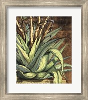 Graphic Aloe I Fine Art Print