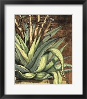 Graphic Aloe I Fine Art Print