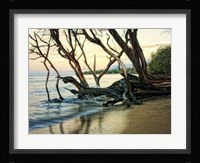 Reaching for the Sea I Framed Print