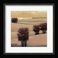 Blushing Hills II Framed Print