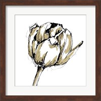 Tulip Sketch II Fine Art Print