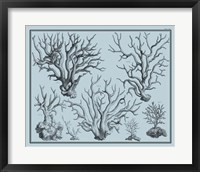 Aegean Coral on Blue I Framed Print