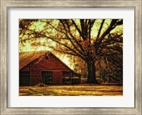 Last Tree Standing Fine Art Print