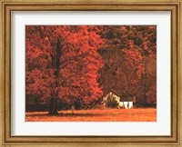 Farm House on a Autumn Morn' Fine Art Print