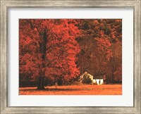 Farm House on a Autumn Morn' Fine Art Print