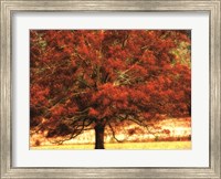 Autumn Oak I Fine Art Print