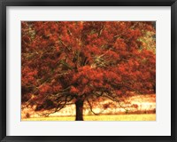 Autumn Oak I Fine Art Print