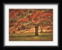 An Oak in the Cove Fine Art Print