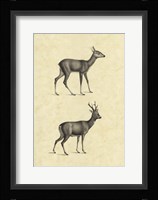 Vintage Deer I Fine Art Print