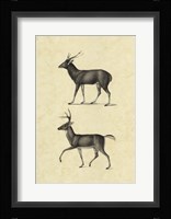 Vintage Deer II Framed Print