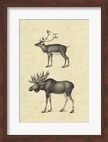 Vintage Elk Fine Art Print