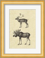 Vintage Elk Fine Art Print