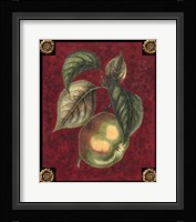 Pomme De Canada Fine Art Print