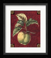 Pomme De Hubbardston Framed Print