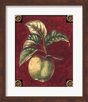 Pomme De Hubbardston Fine Art Print