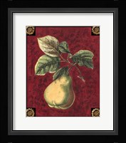 Poire De Portugal Framed Print