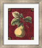 Poire De Portugal Fine Art Print