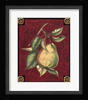 Poire D'Arenburg Framed Print