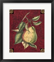 Poire D'Arenburg Fine Art Print