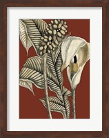 Exotic Botanical I Fine Art Print