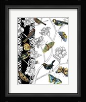Aviary I Framed Print