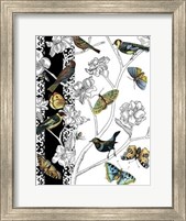 Aviary I Fine Art Print