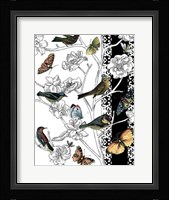Aviary II Framed Print