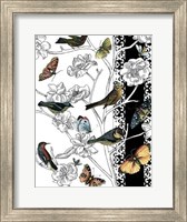 Aviary II Fine Art Print
