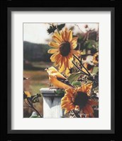 A Golden Morning Fine Art Print