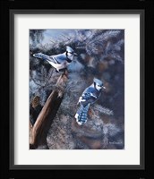 A Touch of Blue Fine Art Print