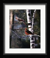 A Touch of Red Fine Art Print