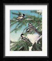 Winter Chicadees Fine Art Print