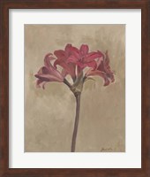 Blooms & Stems III Fine Art Print