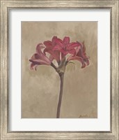 Blooms & Stems III Fine Art Print