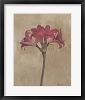 Blooms & Stems III Fine Art Print