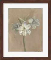Blooms & Stems IV Fine Art Print